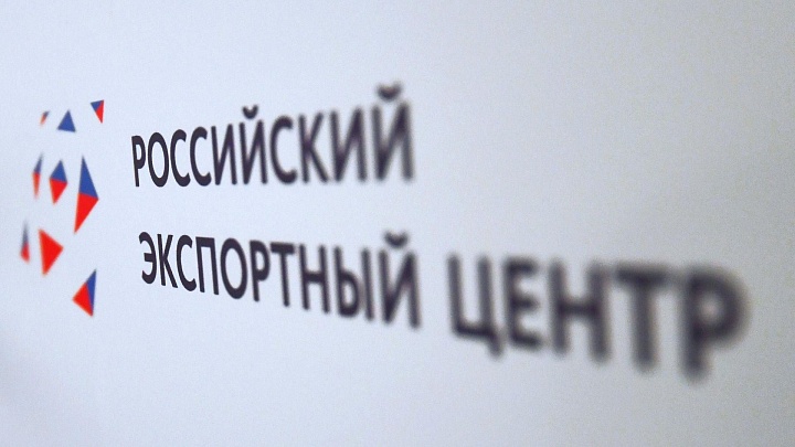РЭЦ призывает бизнес воспользоваться государственными мерами поддержки